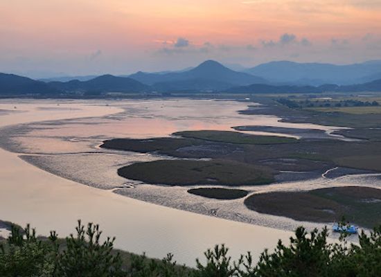 south-korea/suncheon/landmark/suncheon-bay-nature-reserve