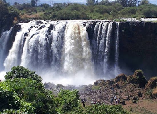 ethiopia/danakil-depression/landmark/yangudi-rassa-national-park