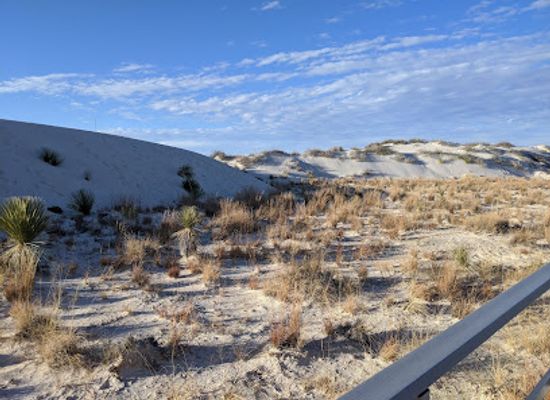 new-mexico/white-sands/landmark/interdune-boardwalk