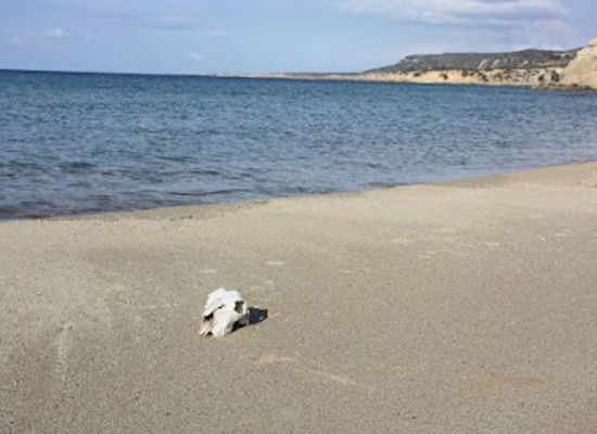 cyprus/karpas-peninsula/landmark/aphendrika