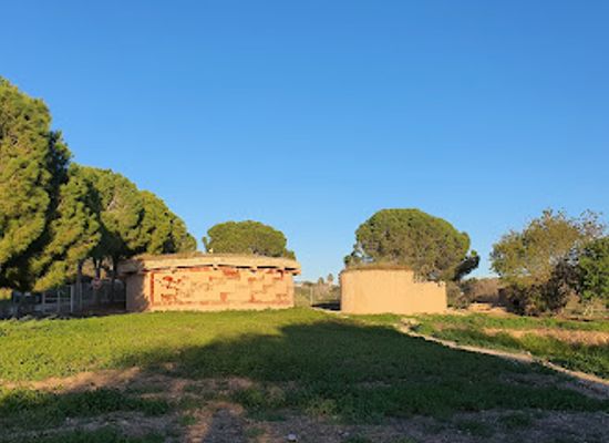 cyprus/paphos-district/landmark/lempa-prehistoric-village-reconstructed