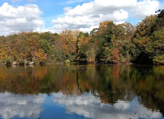 connecticut/stamford/landmark/mianus-river-park