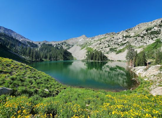 utah/uinta-wasatch-cache-national-forest/landmark/uinta-wasatch-cache-national-forests-headquarters