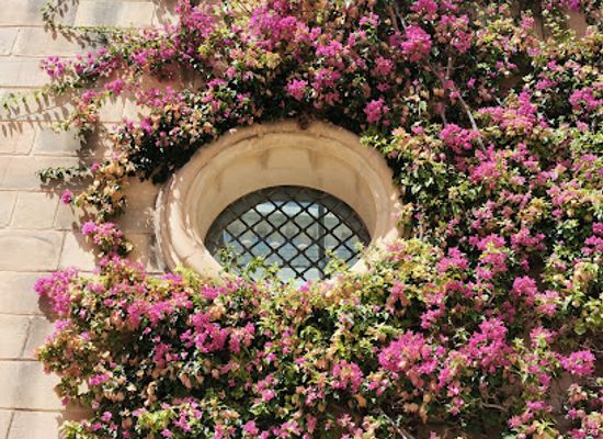 malta/buskett-gardens/landmark/bench-with-flowers