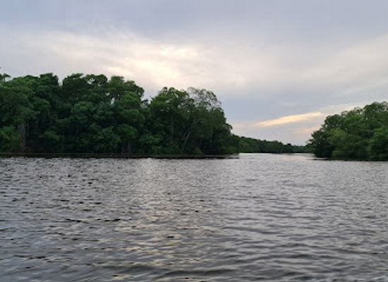 trinidad-and-tobago/caroni/landmark/caroni-bird-sanctuary