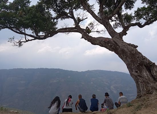 india/kohima/landmark/dashoku-tu