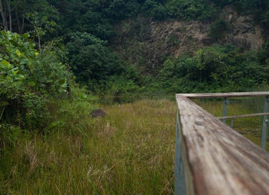 singapore/bukit-batok/landmark/rifle-range-park