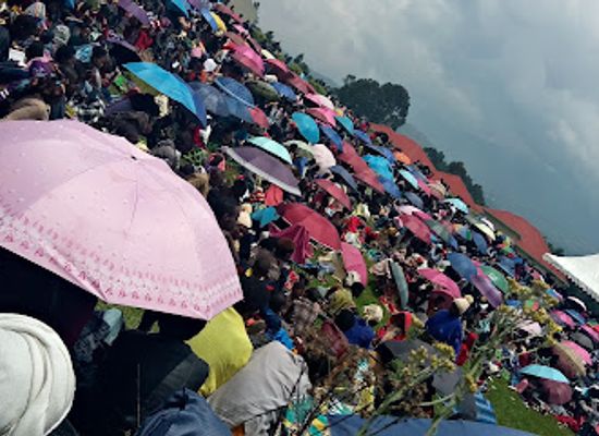 rwanda/kigali/gacuriro/landmark/terminalia-park