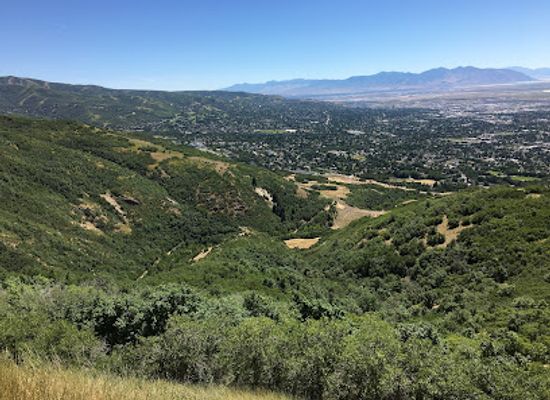 utah/uinta-wasatch-cache-national-forest/landmark/wasatch-national-forest
