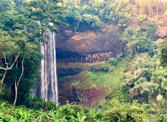 laos/champasak/landmark/tad-tayicsua-homestay