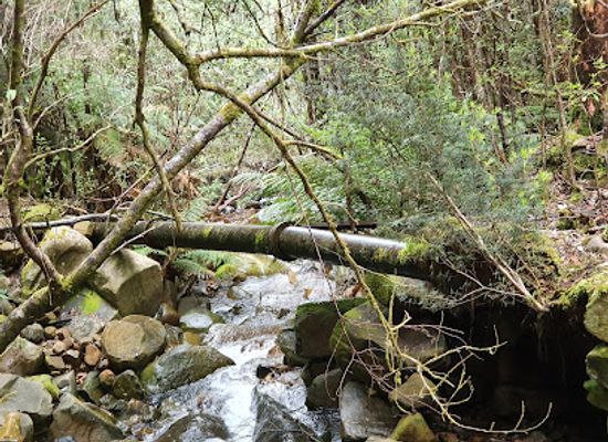 australia/mount-wellington/landmark/st-crispin-s-well