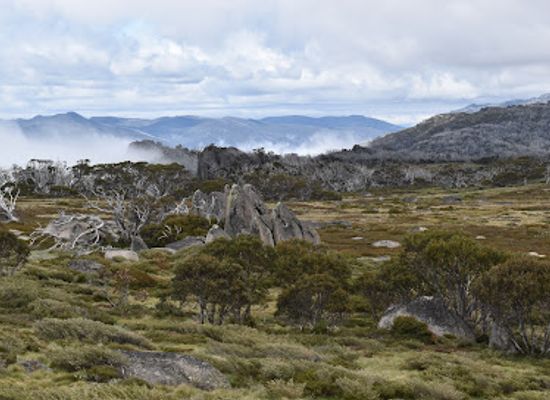 australia/kosciuszko-national-park/landmark/porcupine-walk