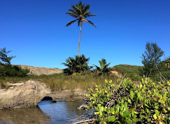 puerto-rico/arecibo/landmark/la-poza-de-don-guelo
