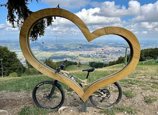 slovenia/drava/landmark/bike-park-pohorje