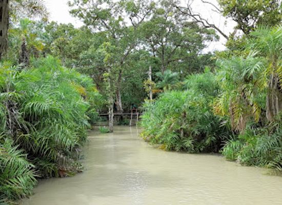 bangladesh/sundarbans/landmark/karamjal