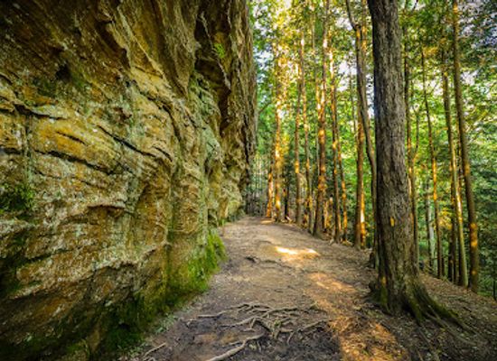 ohio/hocking-hills/landmark/hemlock-bridge-trail-hocking-hills-state-park