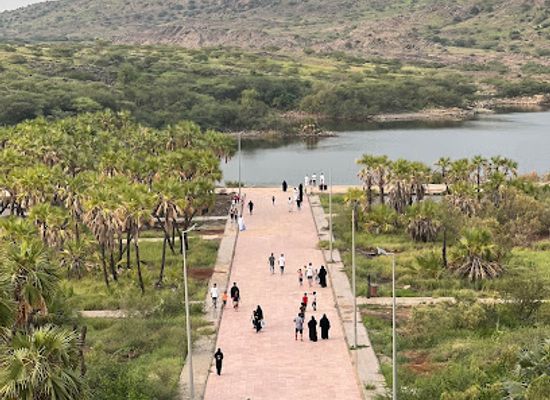 saudi-arabia/jizan/landmark/lake-of-jazan-dam