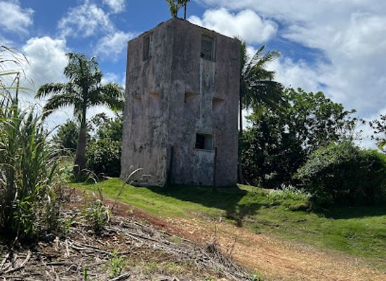 barbados/paynes-bay/landmark/cotton-tower-signal-station