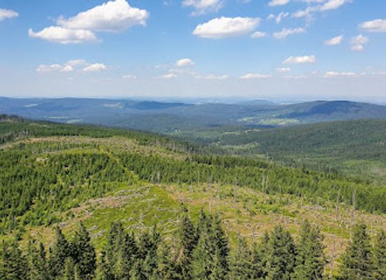czechia/south-bohemia/landmark/sumava-national-park