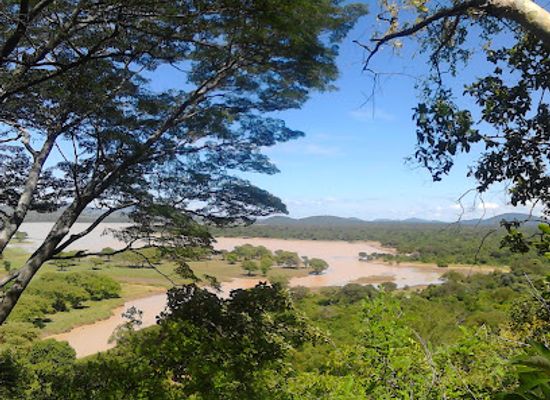 malawi/chinteche/landmark/vwaza-marsh-wildlife-reserve