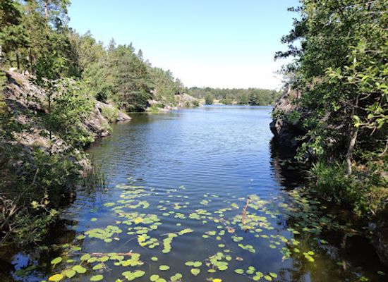 sweden/stockholm-archipelago/attraction/oak-forest-at-the-canal-guide-to-silence-stockholm
