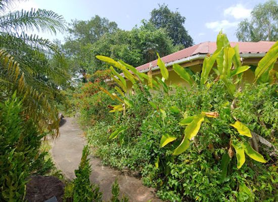 suriname/lelydorp/landmark/neotropical-butterfly-park