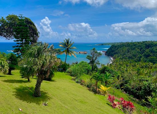 dominica/hampstead-beach/landmark/sea-cliff-eco-cottages-gin-distillery