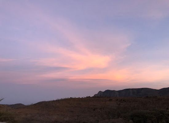djibouti/arta-region/landmark/day-forest-national-park