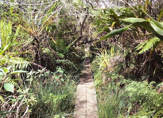 mayotte/tsingoni/landmark/pamoja