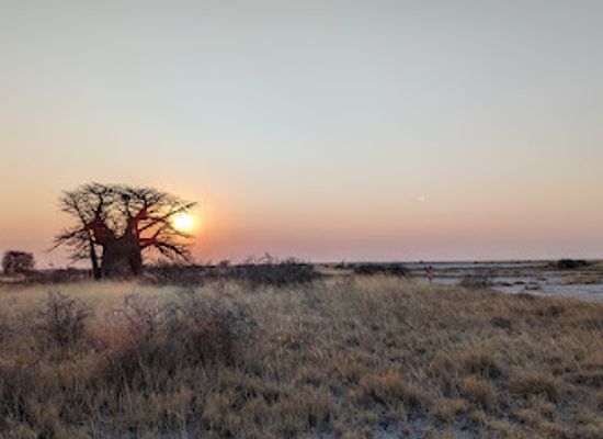 botswana/makgadikgadi-pans/landmark/nata-bird-sanctuary