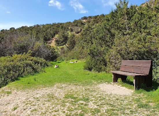 cyprus/paphos-forest/landmark/avakas-gorge-nature-trail