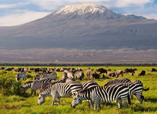 tanzania/kilimanjaro-region/landmark/kilinge-adventures-best-tanzania-tour-company-serengeti-safari-operator-kilimanjaro-climbing-join-groups-in-moshi-arusha