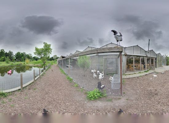 netherlands/flevoland/landmark/almere-jungle