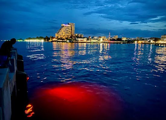 thailand/hua-hin/landmark/hua-hin-fishing-pier