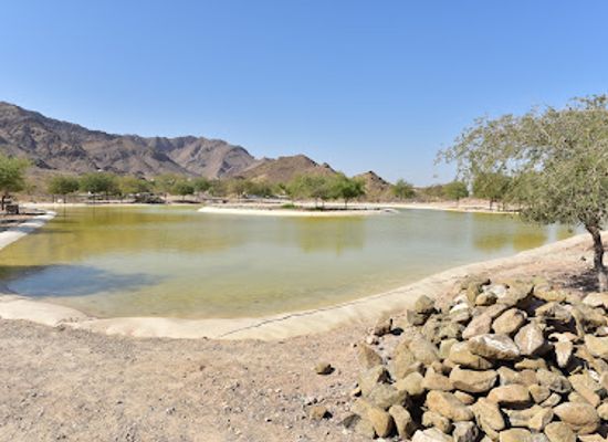 united-arab-emirates/hatta/landmark/hatta-suhaila-lakes-3