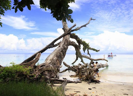 india/andaman-islands/landmark/elephant-beach