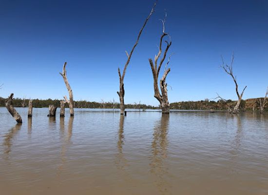 australia/riverland/landmark/canoe-adventures-riverland