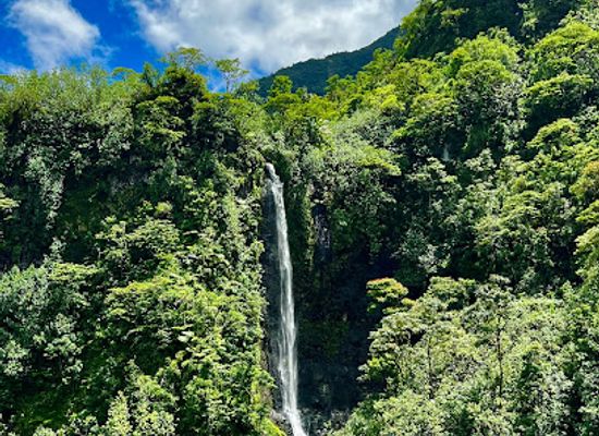 french-polynesia/papeete/landmark/ia-ora-na-tahiti-expeditions