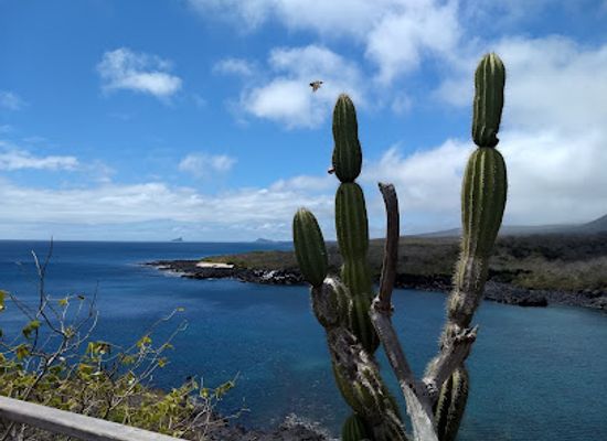 ecuador/puerto-baquerizo-moreno/landmark/san-cristobal-gianni-arismendy-environmental-interpretation-center
