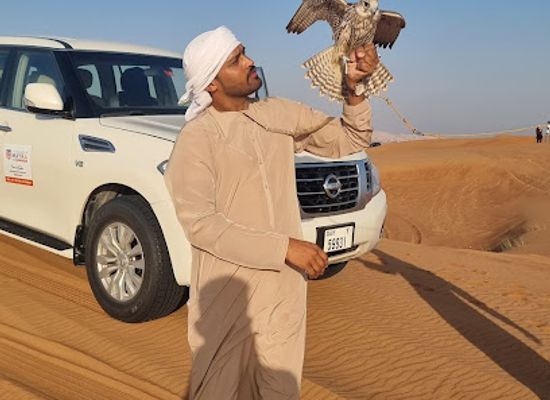 united-arab-emirates/ajman/landmark/desert-safari-ajman