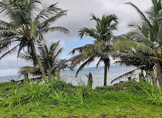 dominica/saint-john/landmark/douglas-charles-airport