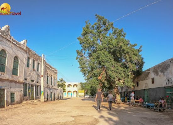 somalia/hargeisa/landmark/somaliland-travel-agency