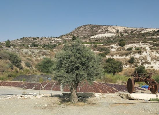cyprus/morphou-bay/landmark/christoudia-winery