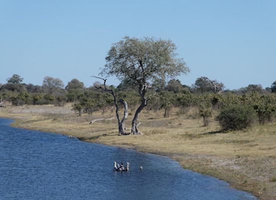 namibia/zambezi/landmark/mudumu-national-park