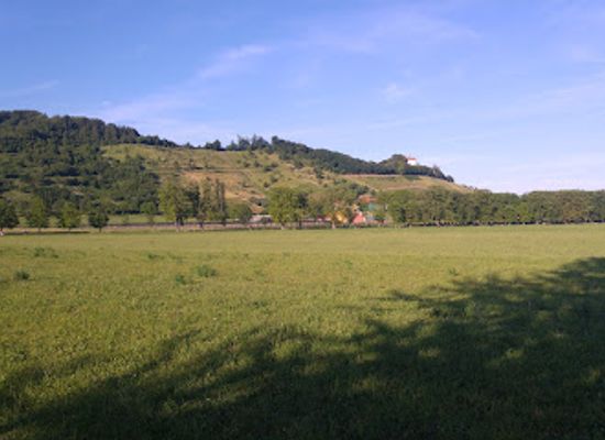 slovenia/drava/landmark/kamnica-avenue