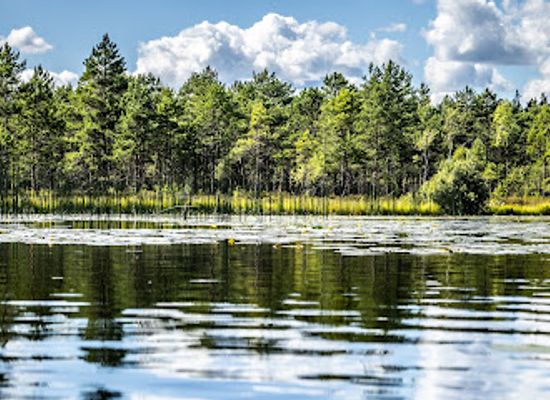 latvia/teici-nature-reserve/landmark/teirumniki-bog-trail