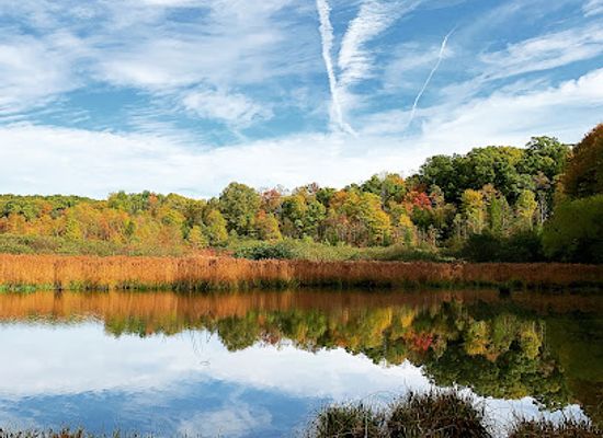 west-virginia/mountaineer-country/landmark/west-virginia-botanic-garden