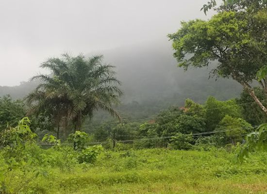 sierra-leone/southern-province/landmark/western-area-national-park