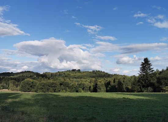 czechia/czech-forest/landmark/cesky-les-protected-landscape-area