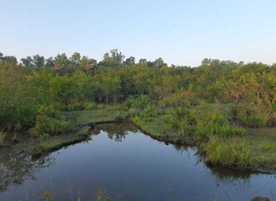 bangladesh/sundarbans/landmark/jamtola-beach